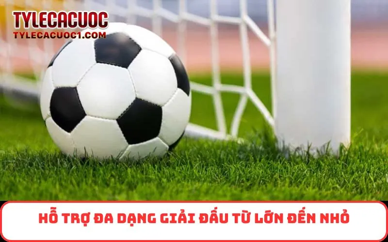 Hỗ trợ đa dạng giải đấu từ lớn đến nhỏ