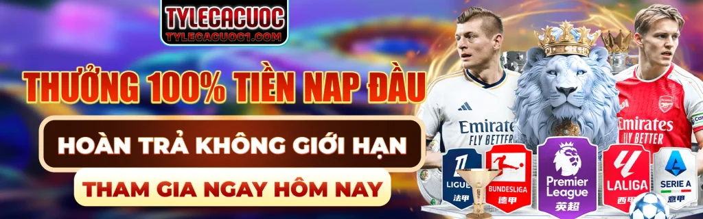 banner-2-tylecacuoc1-com