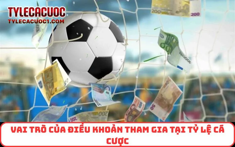 Vai trò của Điều Khoản Tham Gia tại Tỷ Lệ Cá Cược