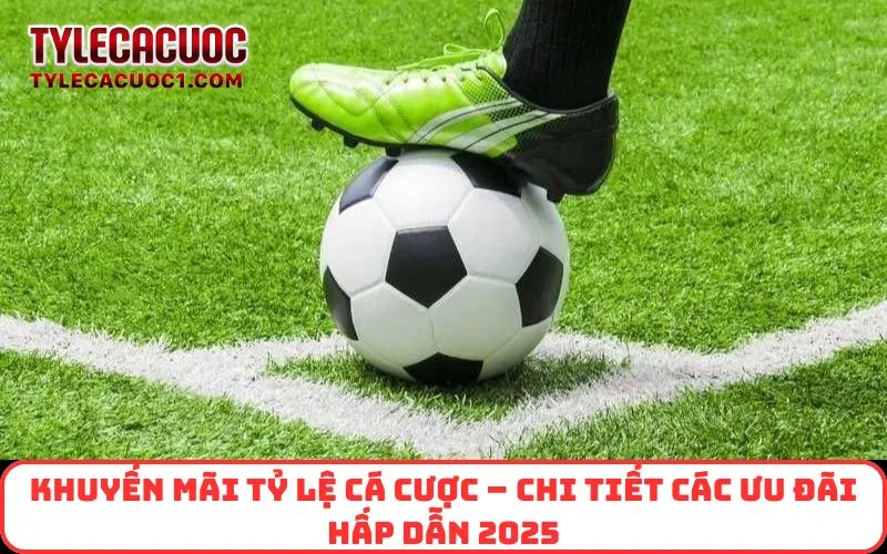 Khuyến Mãi Tỷ Lệ Cá Cược – Chi Tiết Các Ưu Đãi Hấp Dẫn 2025