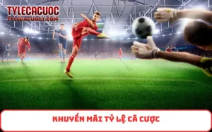 Khuyến mãi tại Tỷ Lệ Cá Cược