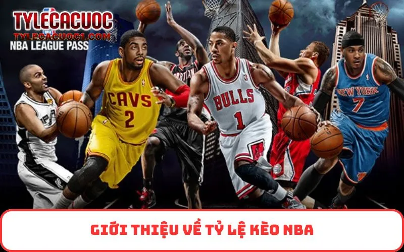 Giới thiệu về tỷ lệ kèo NBA