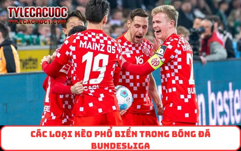 Các loại kèo phổ biến trong bóng đá Bundesliga