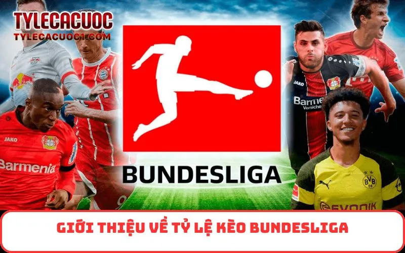 Giới thiệu về tỷ lệ kèo Bundesliga