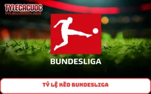 tỷ lệ kèo Bundesliga