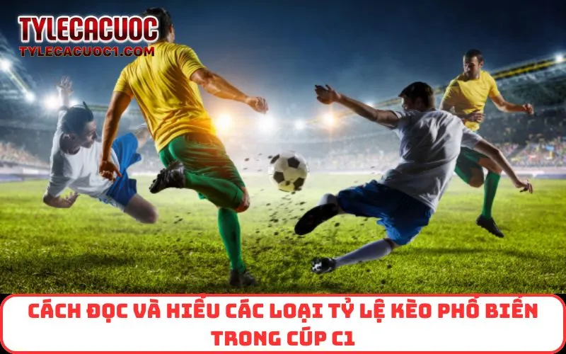Cách đọc và hiểu các loại tỷ lệ kèo phổ biến trong Cúp C1