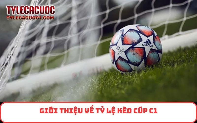 Giới thiệu về tỷ lệ kèo Cúp C1
