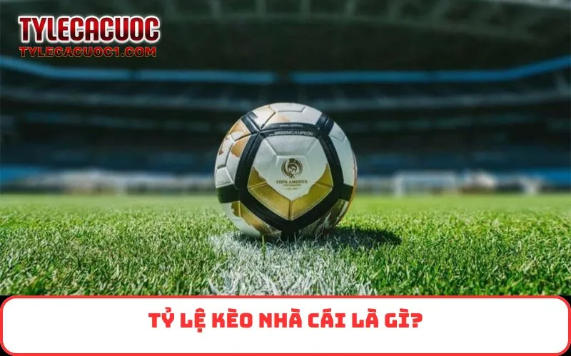 Tỷ lệ kèo nhà cái là gì?