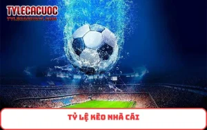 Tỷ lệ kèo nhà cái