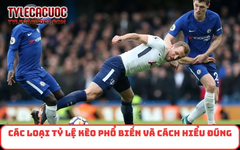 Các loại tỷ lệ kèo phổ biến và cách hiểu đúng