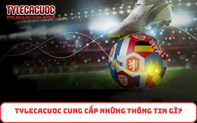 Tỷ Lệ Cá Cược cung cấp những thông tin gì?