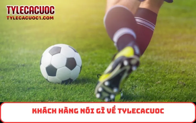 Khách hàng nói gì về Tỷ Lệ Cá Cược