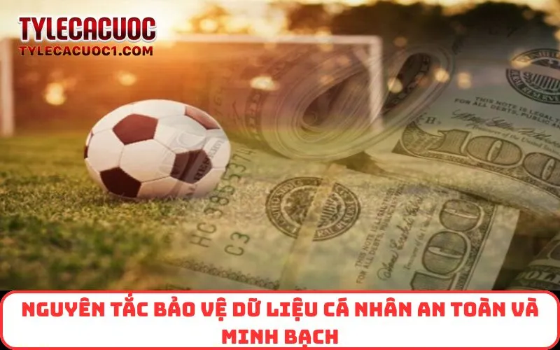 Nguyên tắc bảo vệ dữ liệu cá nhân an toàn và minh bạch